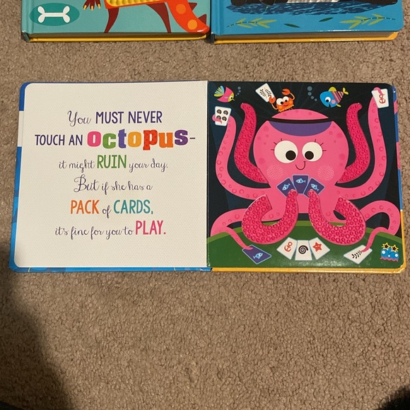 Set of 4 books. 3 “Never Touch a…” series books and “5 Little Ducks” - Picture 11 of 12